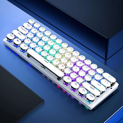 60% Mechanical Keyboard, Gaming Keyboard for PC, Wired Mini White Keyboaed Compact RGB LED Backlit, Retro Computer Keyboard Typewriter Style round Keycap for PC Gamer/Office, 61 Keys